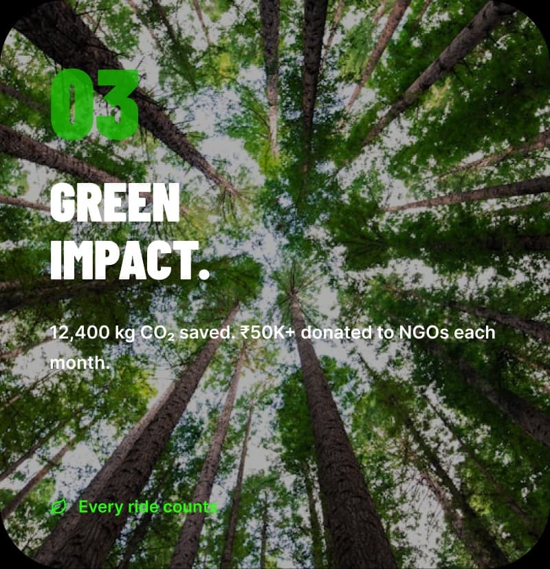 Forest canopy green impact